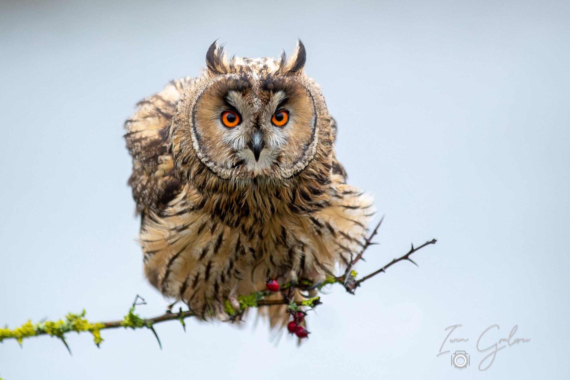 1DX46356 12 december 2021 1324 26